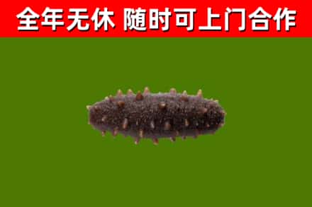 下城区烟酒回收干海参.jpg